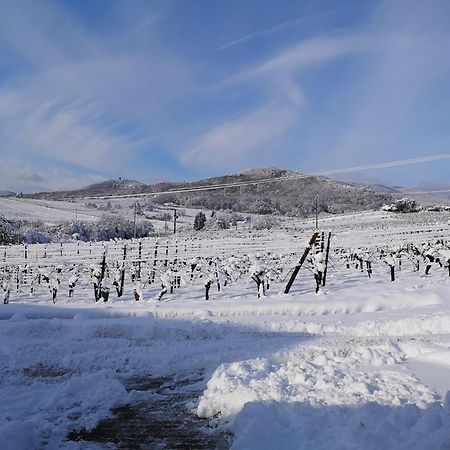 L'Altenberg Бергхейм Экстерьер фото